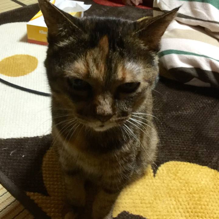 52b466a0 810a 4530 8706 e63276a2f9ab