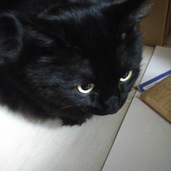 52b48f44 9e55 4e2b 951f 71937e5a7d1d