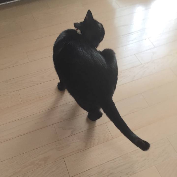 52b4a2e8 a8c6 4dcf 8e62 b99d4324e58d