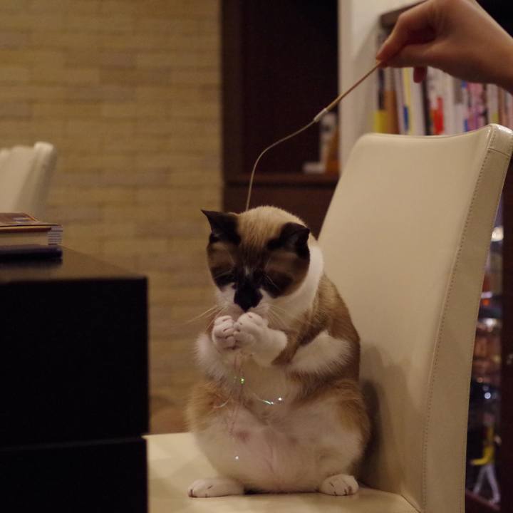 52b4f5df 9025 448c b8e3 97300f29a7f9