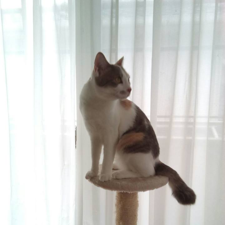 52b55296 9eab 4987 b2b7 dbb28be6fe48