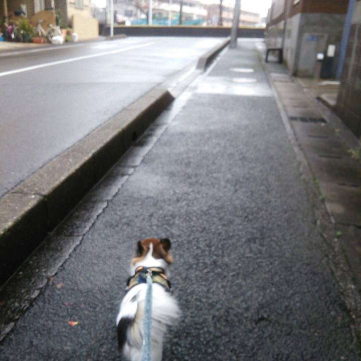 52b58d20 4571 40f0 bc79 1adc911134c4