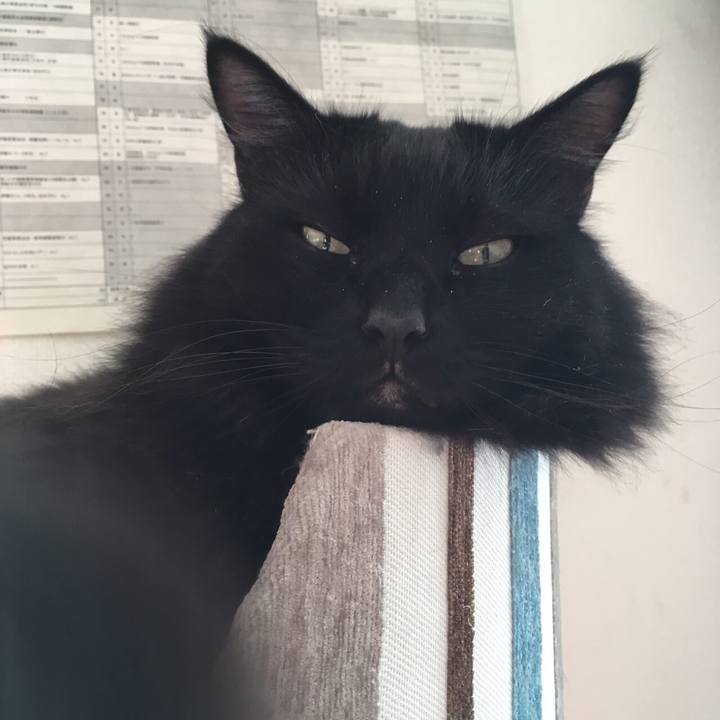 52b672db 33f3 42a1 a5ef 3fa7f5c78478