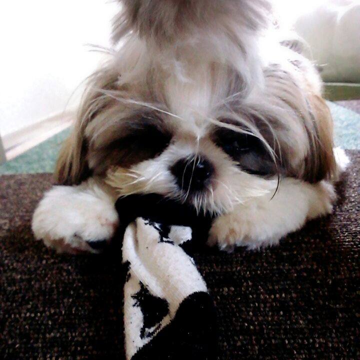 52b73952 6428 4169 ac6b 4c4deb4cfe07