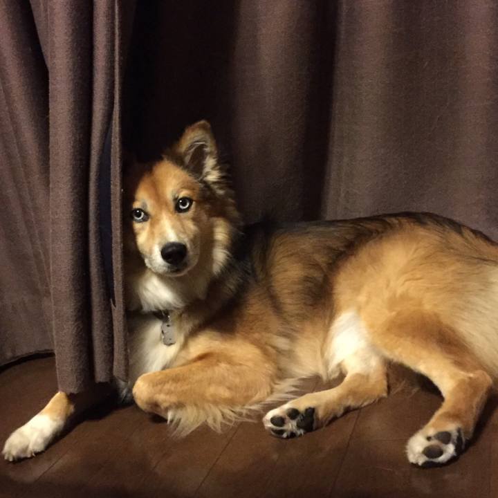 52b7618e d2df 47a2 b14f 5022f888b5b3