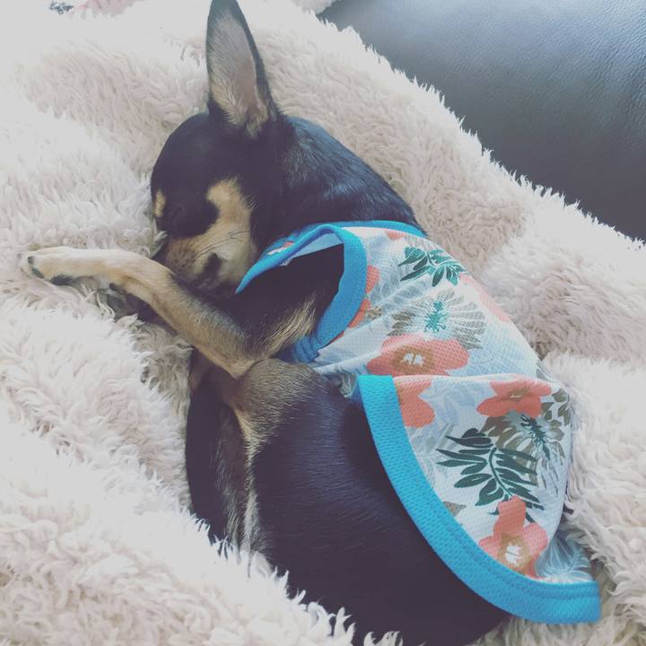 52b7f40b 87a1 4acc b449 9fceaaccc3c7