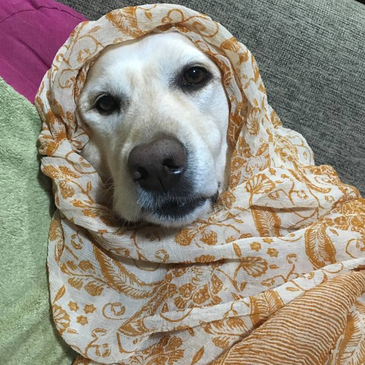 52b83c5f 021e 4422 b4da 1ab18803d5e8