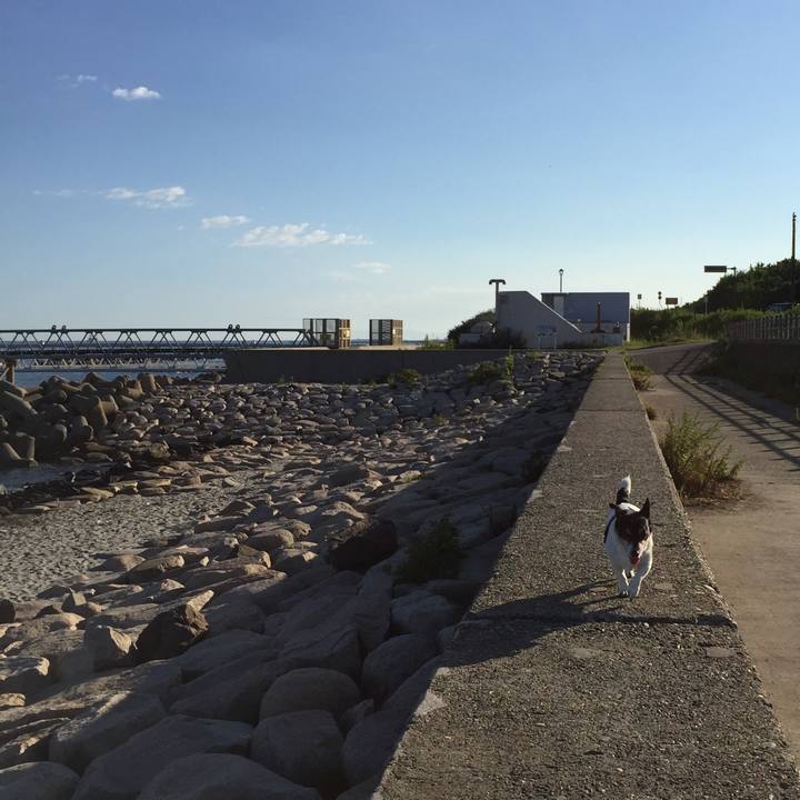 52b86049 8865 4a74 a8fd 31cf1c7d0c4d