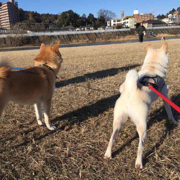 52b8bf3b d050 4b03 9d30 cc907d23104c