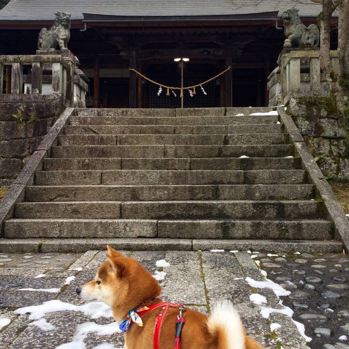 52b8ec27 7f1d 4551 84e1 c0b7f6e68efc