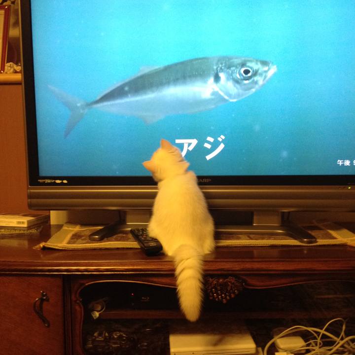 52b9457f db3a 4803 a420 6466945469dc