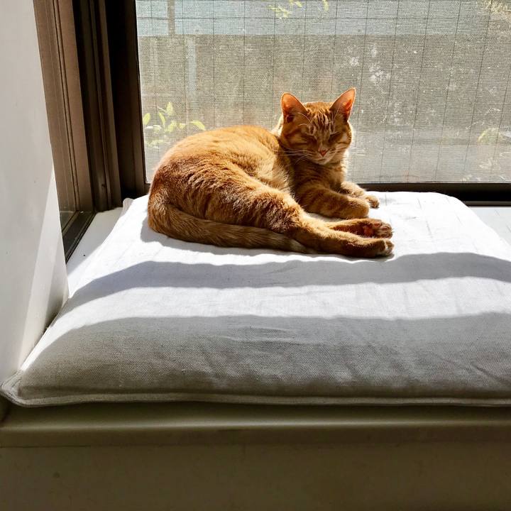 52b9b580 9a5a 444f b1d4 e463b5c3d2b0