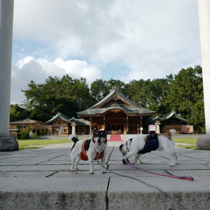 52b9d063 8c30 40b9 b828 34115e1668e6