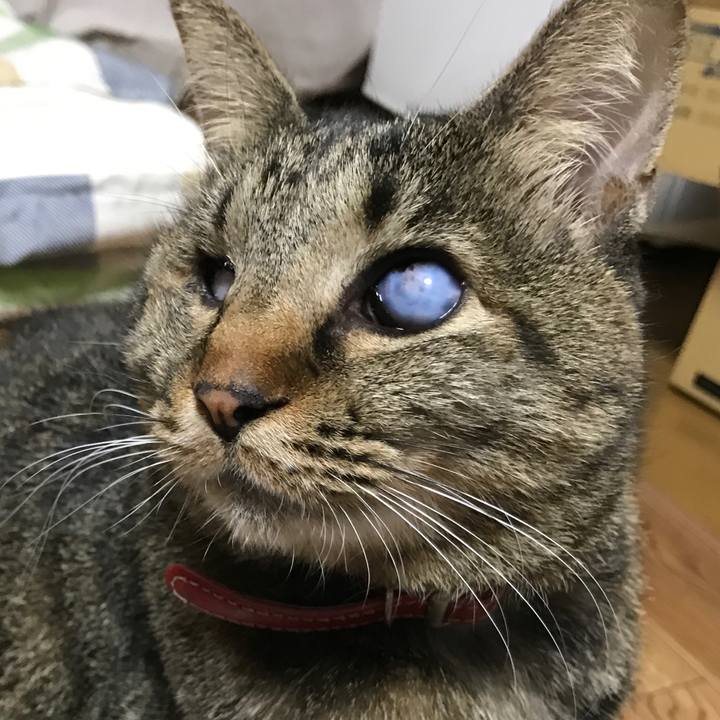 52bb0cf8 c0b4 4512 a6d5 d270939313b6