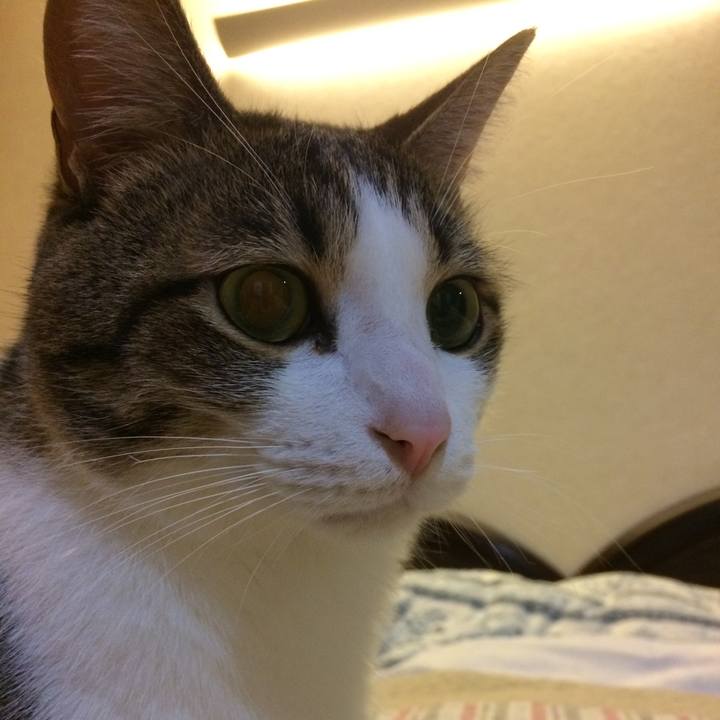 52bbdc21 8918 408b ae5a 3aea8660ec4d