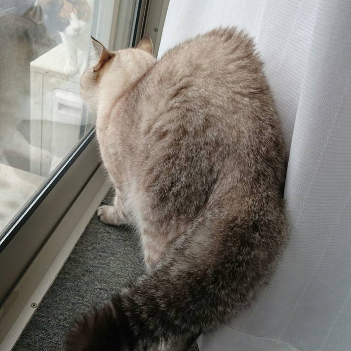 52bbfeaa 6d23 4e59 ac53 ed8bde1ee2b7