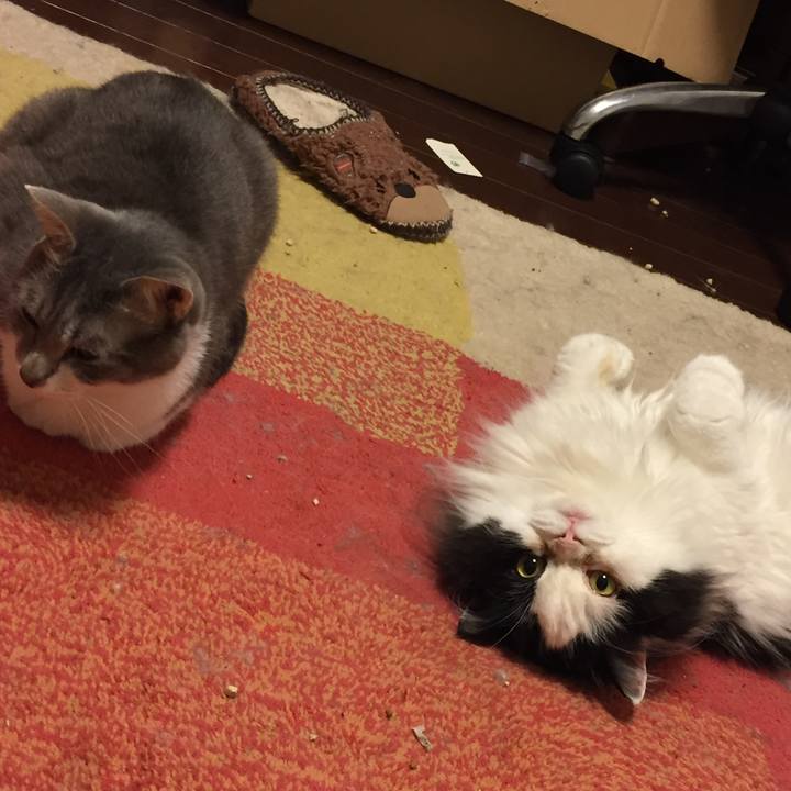 52bcc6b2 09c4 4d41 a1b9 65a4e204024e