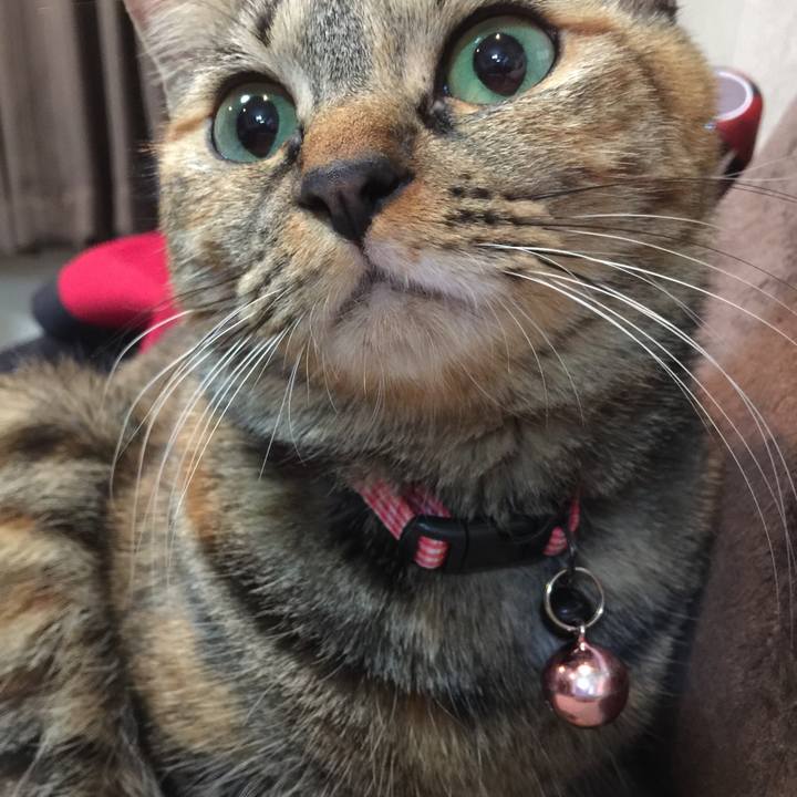 52be11b6 6d92 455d bb12 9ff2f49fc2c3