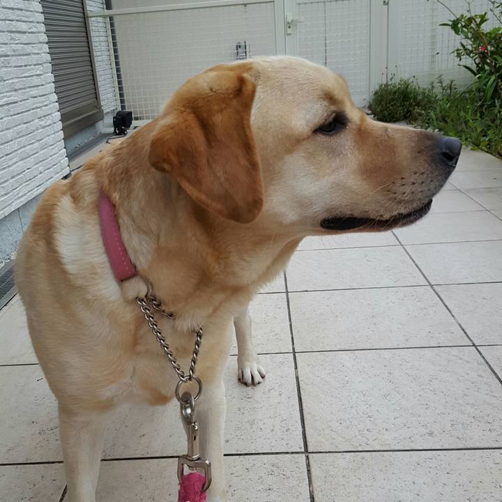 52be138b 0545 4fdc aa5e cbcbffe95740