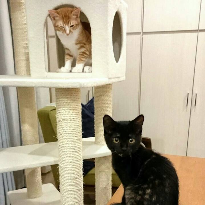 52be83a2 2da1 4890 886a 3bd3b0e42e01