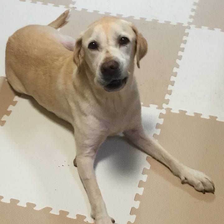 52beb2db cad9 4dc8 b036 397915267d3e