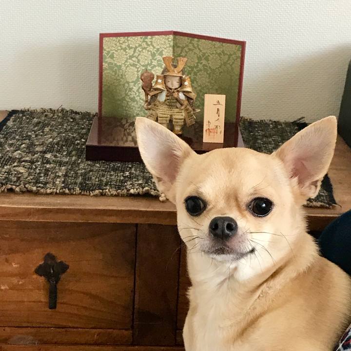 52bf02a9 a682 4805 ae0d cf3d1d2794eb