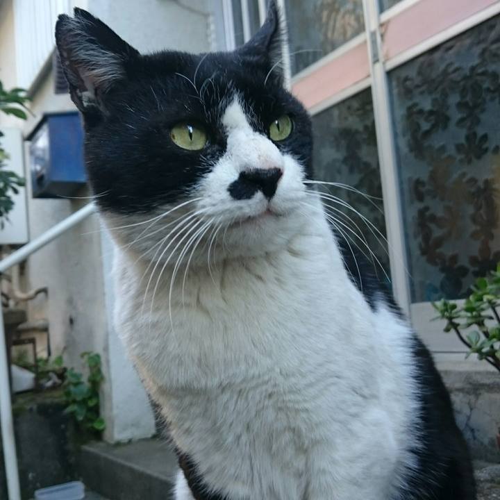 52bf4b41 5cb2 4e26 b477 e72d737a4d11