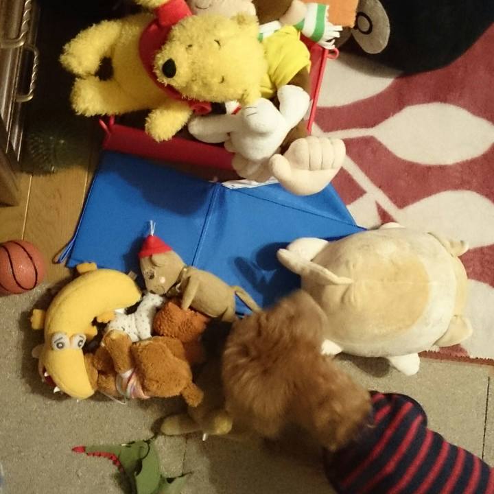 52bf6247 9361 429c a71c ba98ce38a0ba