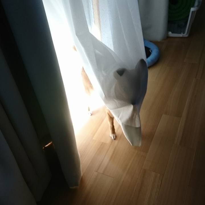 52bf977a fd8c 46be b993 7be63a58a5c4