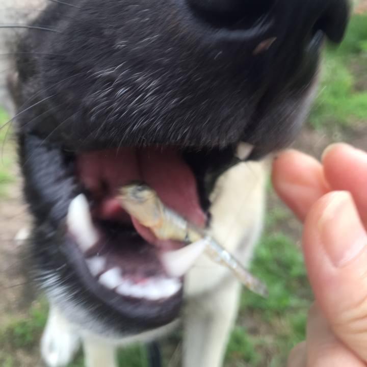 52bfd555 7f6e 4e1e a188 d3d9406795db