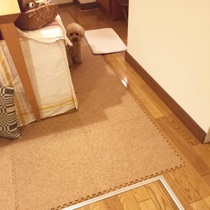 52bff53f 32af 4c10 bde6 3434744f1116