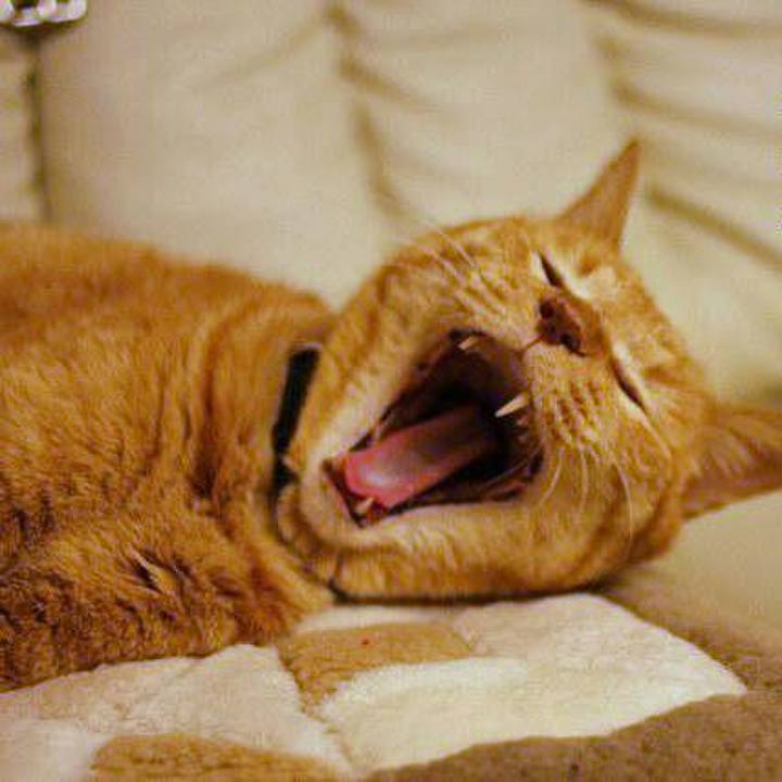 52c1435a 66a6 4345 a938 07d3a3c4077b