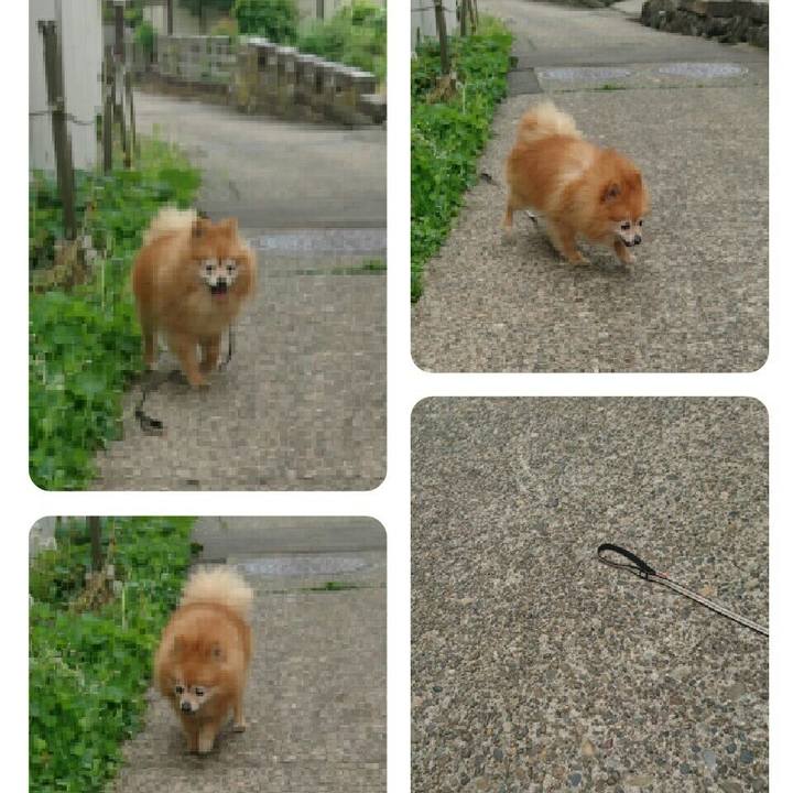 52c1b47d 9b18 4fce a3b6 77eb08c48f63