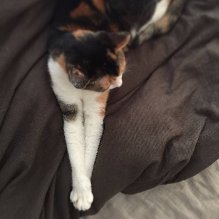 52c28a65 c957 4694 abd7 ceec696233f7