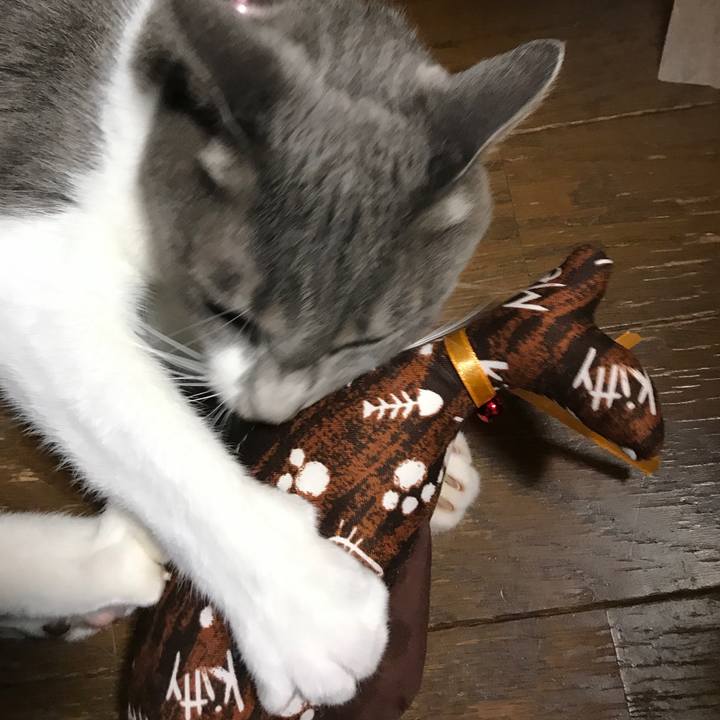 52c29ddc 16e1 4b19 bbae 07a87f933203