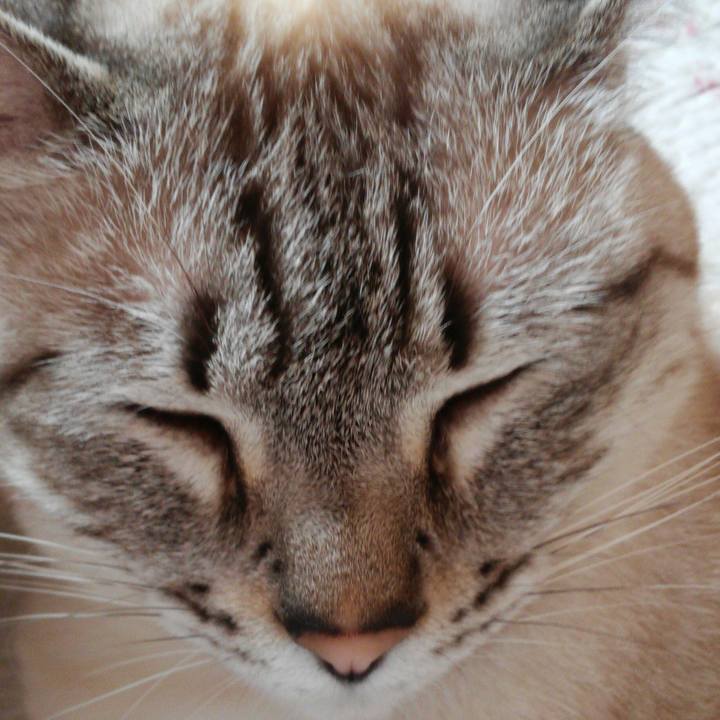 52c2c2e7 6bdc 4edf a058 a638db16e66c