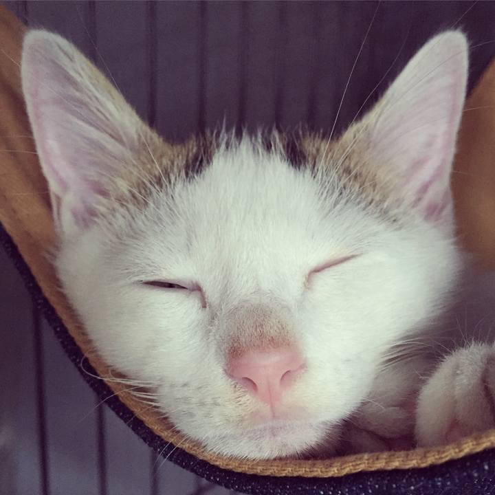 52c31d87 b8d7 432a 82ad 3bdf132166ab