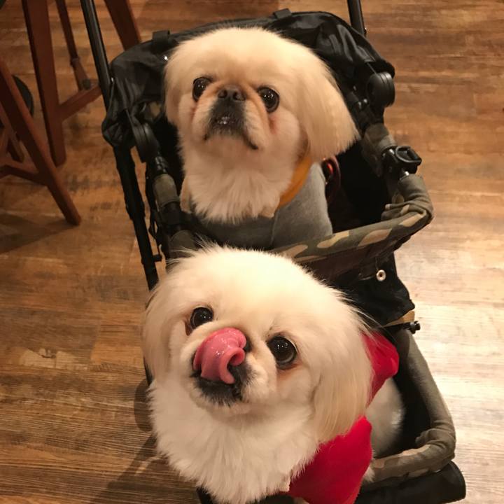 52c3a24a 9d53 4ae3 b516 efc3dddabfc0