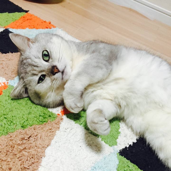 52c3bea8 0e1d 48da 8681 c661c07bcdc5