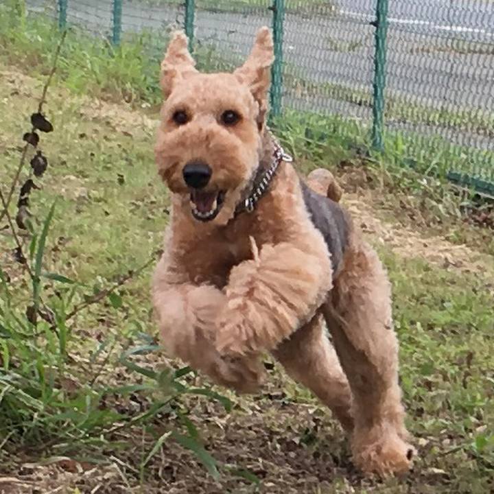 52c3cdb7 074f 4762 ac27 de39c5da586b