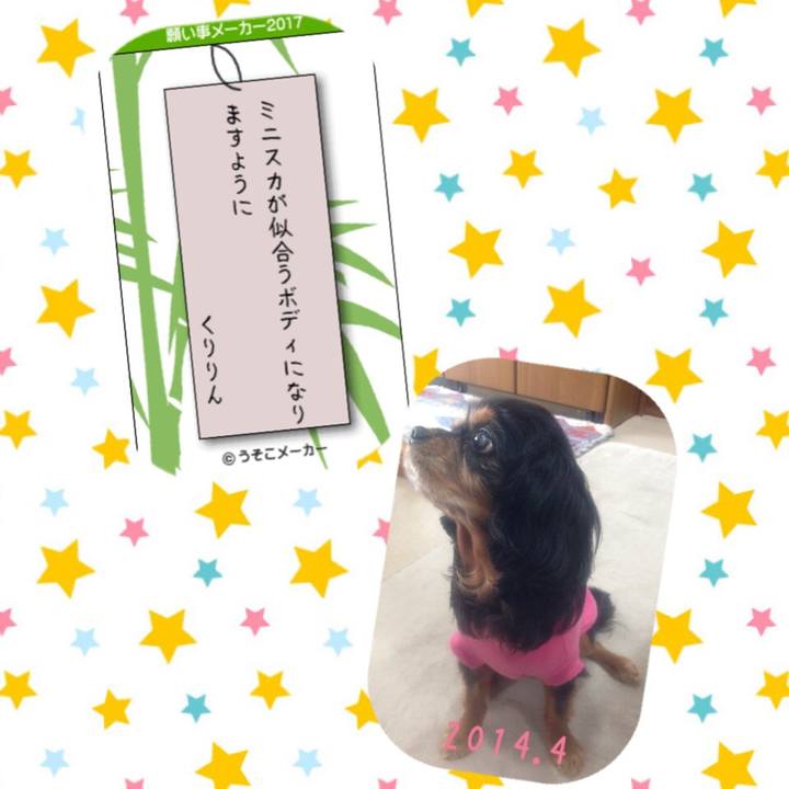 52c44612 ec59 410d 947b 6cedbe5eb2c2