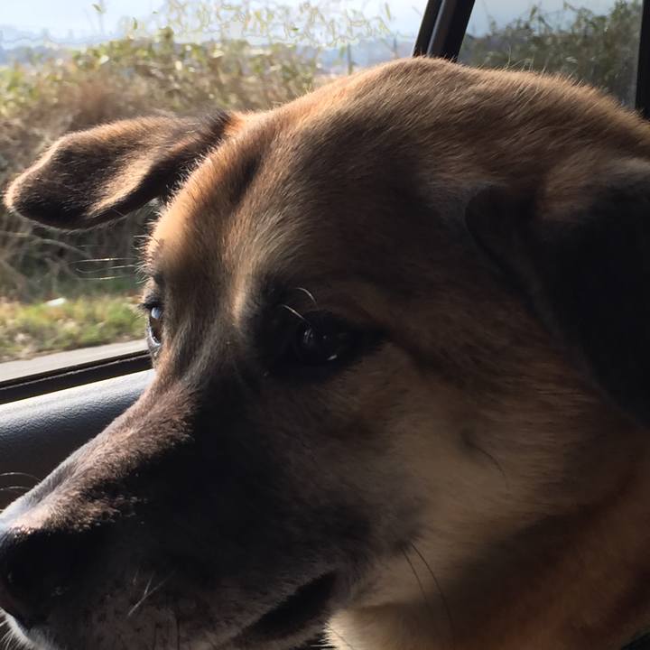 52c46a6f f742 443e a653 ce37b75f8487