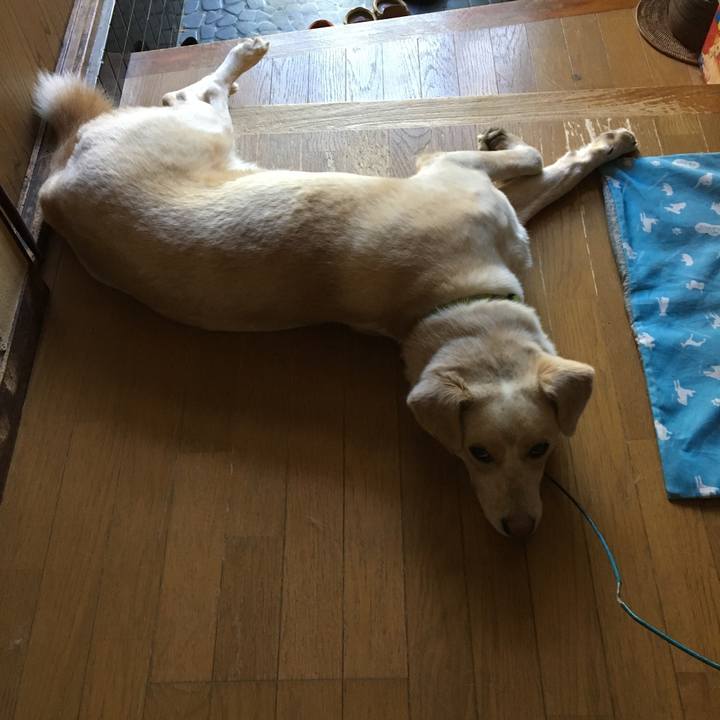 52c48257 1468 44b1 8a29 926cee7b8143