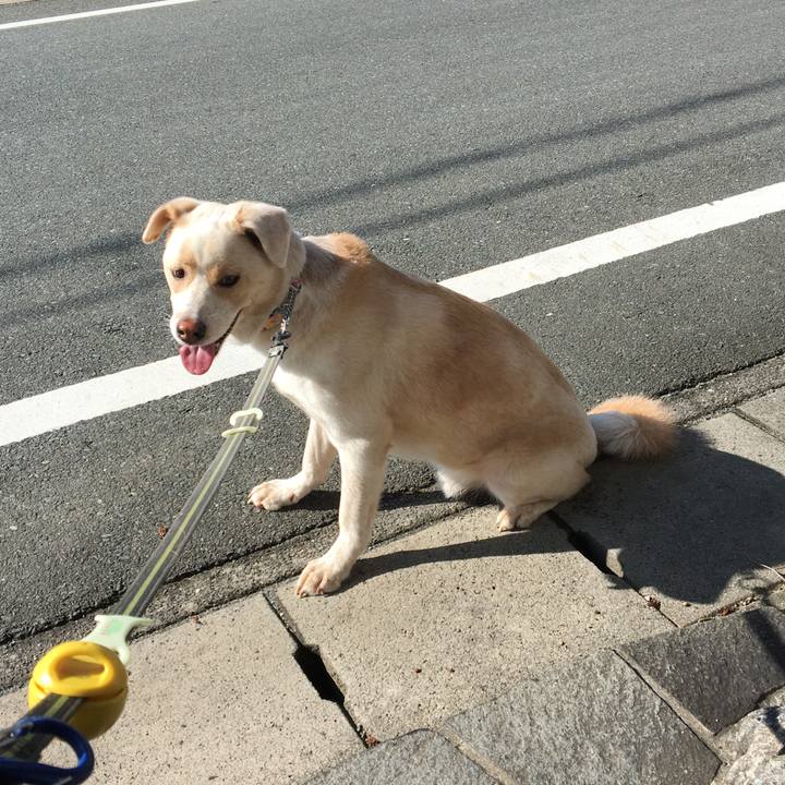 52c4d10e c767 433f b95d c177a1f1f5ce