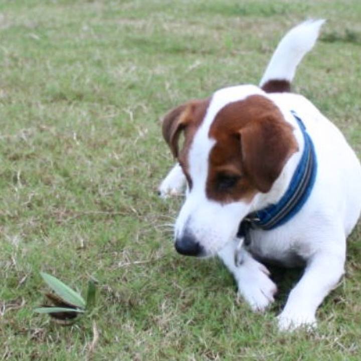 52c67835 c9d6 40ad a1e6 f036814aa278