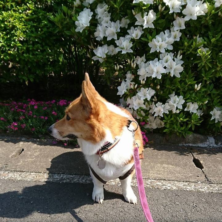 52c68423 7841 490d 9d15 607d793c67b9