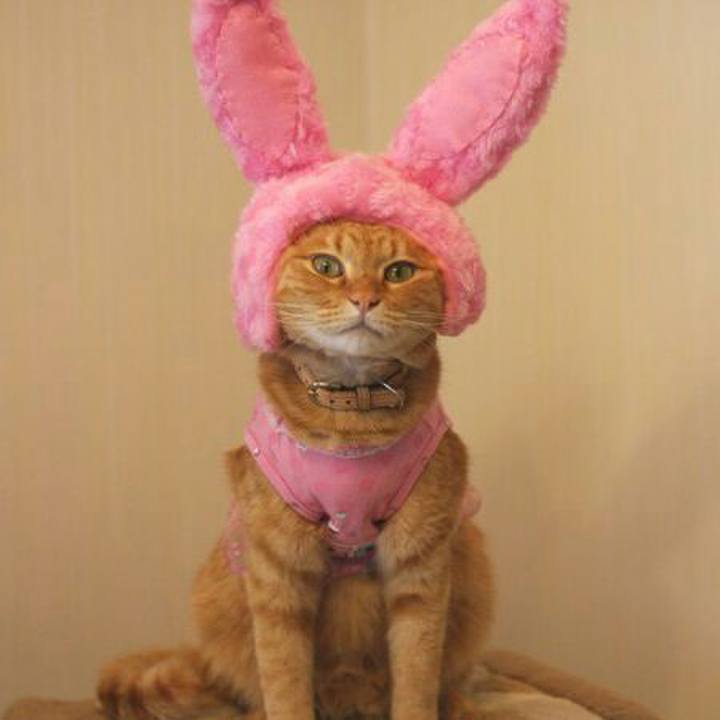 52c7285f 754a 4f8e a287 98c72e6d4281