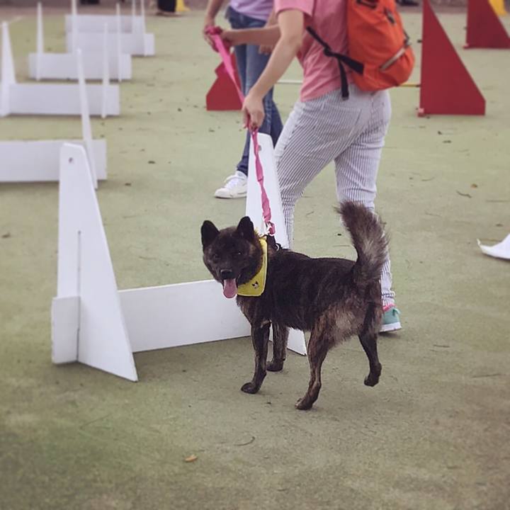 52c7e451 c72a 4801 a0d6 1898bff459f9