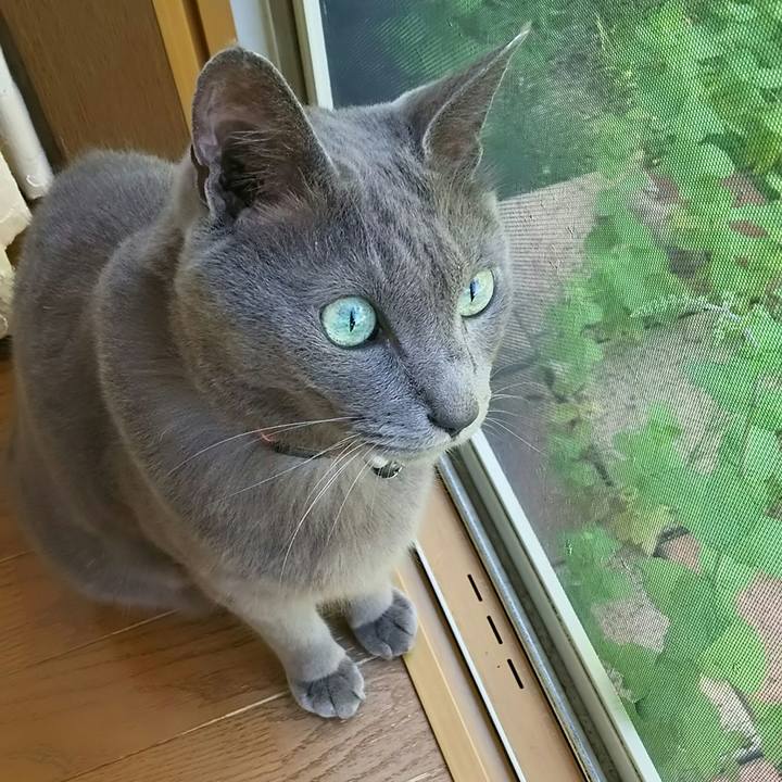 52c80963 ffd5 4491 9cf3 ba212ce7fcec