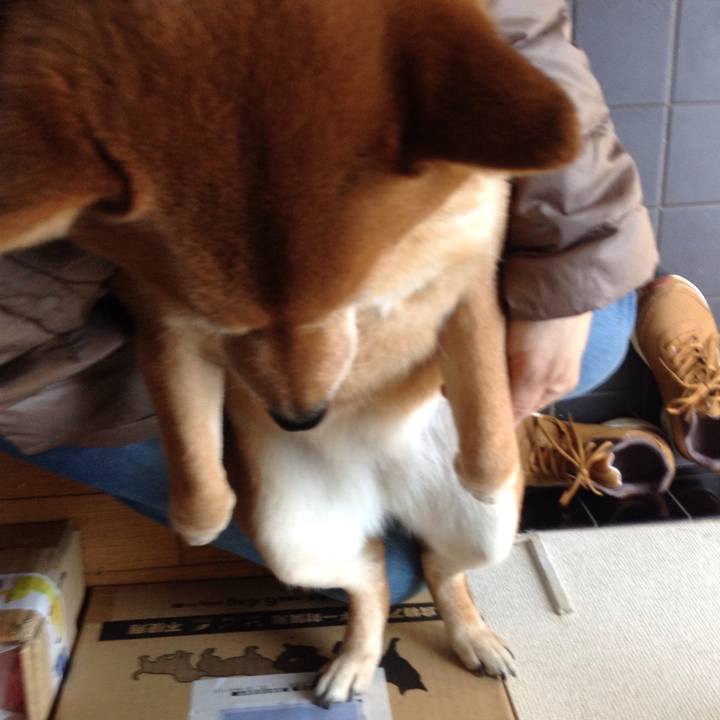 52c8096e f26a 46b7 9f9c 3bd5d5678afc